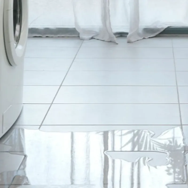 Appliance Leak Cleanup in Smithville, TN
