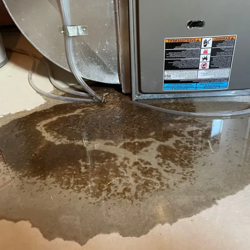 Pipe Burst and Leak Restoration in Smithville, TN