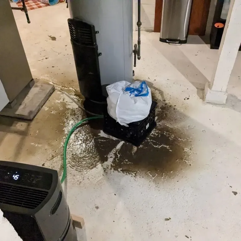 Sewage Backup Cleanup Service in Smithville, TN